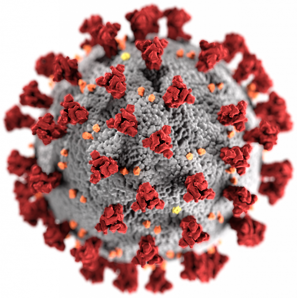 Single-molecule image of SARS-CoV-2 (COVID-19) virus particle 