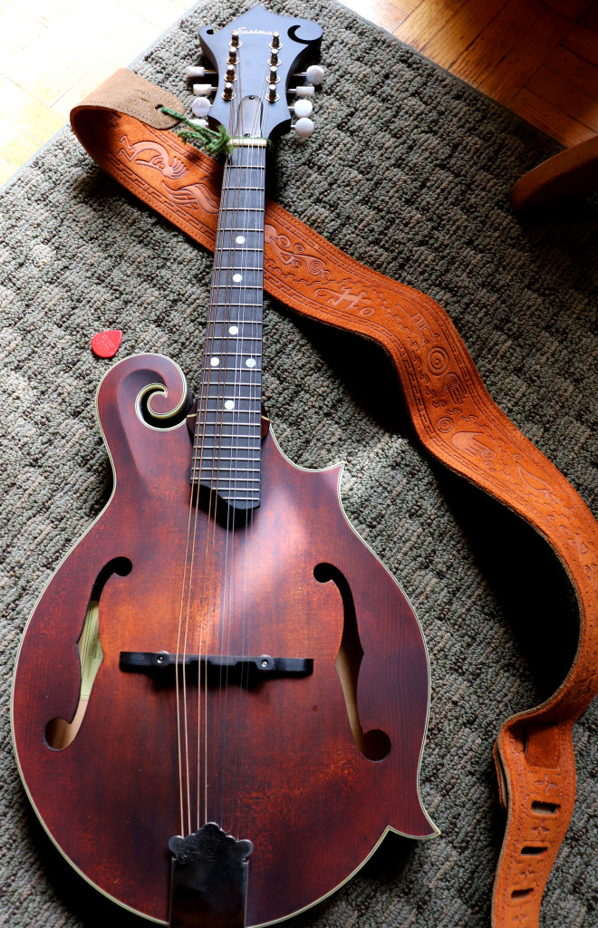 A mandolin with a leather strap 