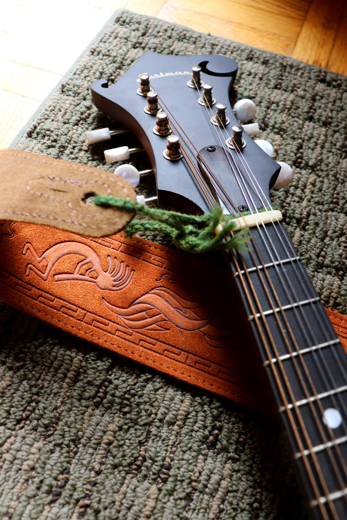 Mandolin fretboard with a leather strap